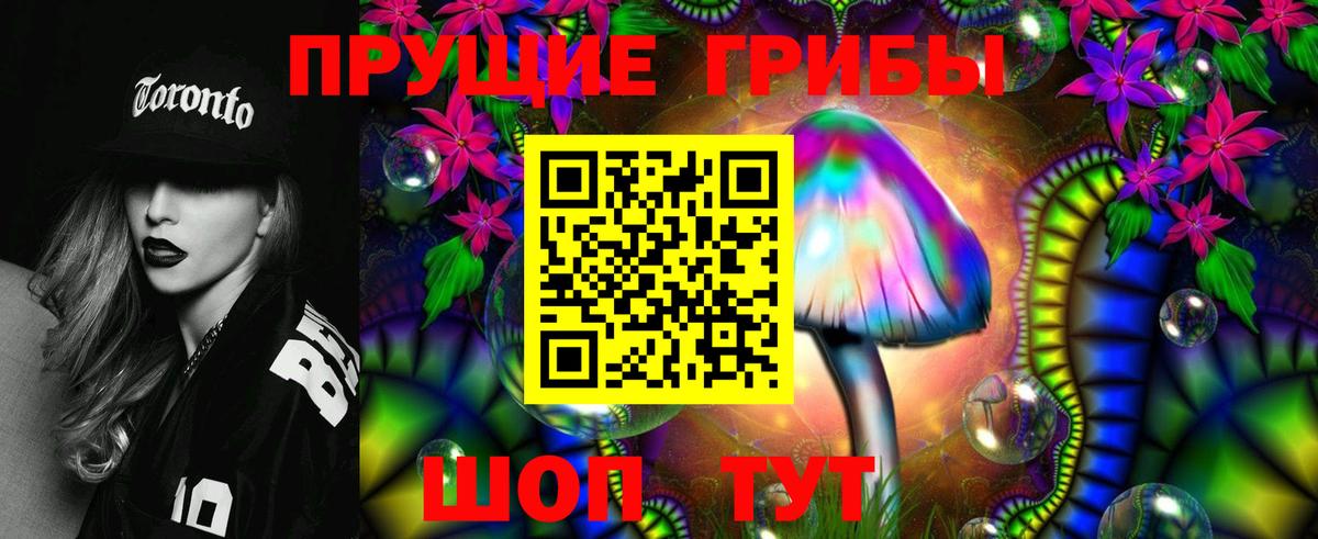 Псилоцибиновые грибы GOLDEN TEACHER  Вход с VPN  Галлюциногенные грибы мицелий  Жигулёвск 