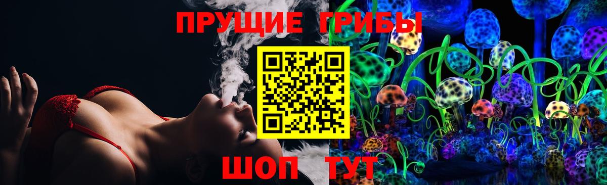 Псилоцибиновые грибы мицелий Жигулёвск